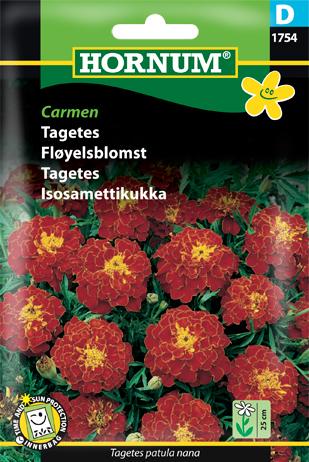 Tagetes, Carmen