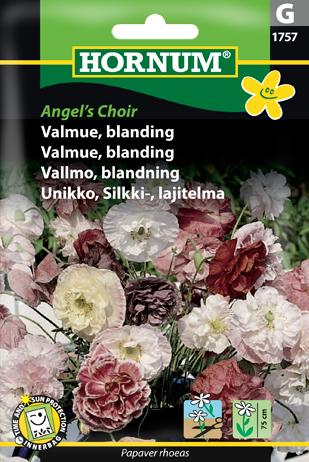 Valmue, Kornvalmue, blanding, Angel's Ch