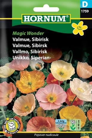 Valmue, Sibirisk, Magic Wonder