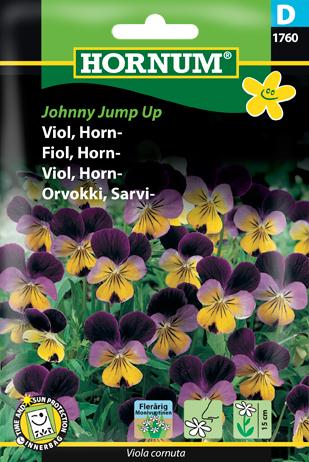 Viol, Hornviol, Johnny Jump Up