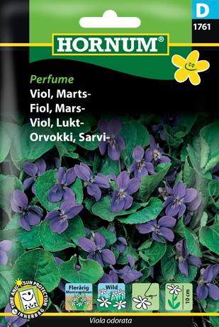 Viol, Martsviol, Perfume