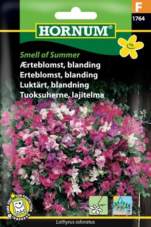 Ærteblomst, blanding, Smell of Summer