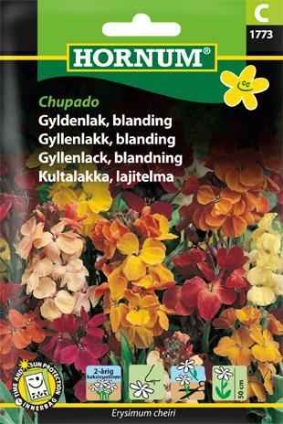 Gyldenlak, blanding, Chupado