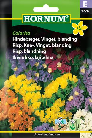 Hindebæger, Vinget, blanding, Colorita