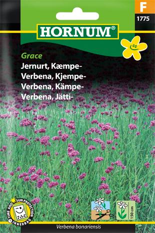 Jernurt, Kæmpe jernurt