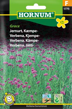 Jernurt, Kæmpe-, Grace