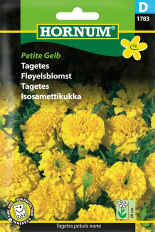 Tagetes, Petite Gelb