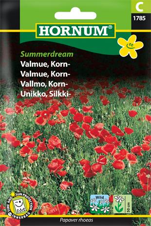 Valmue, Kornvalmue, Summerdream