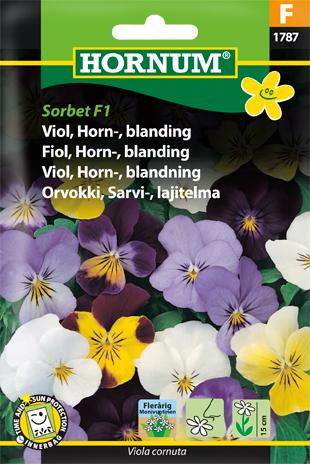 Viol, Hornviol, blanding, Sorbet F1