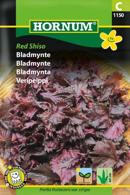 Bladmynte, Red Shiso