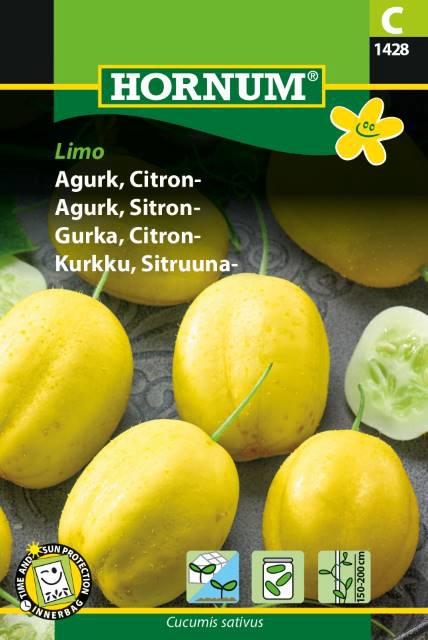 Agurk, Citronagurk, Limo
