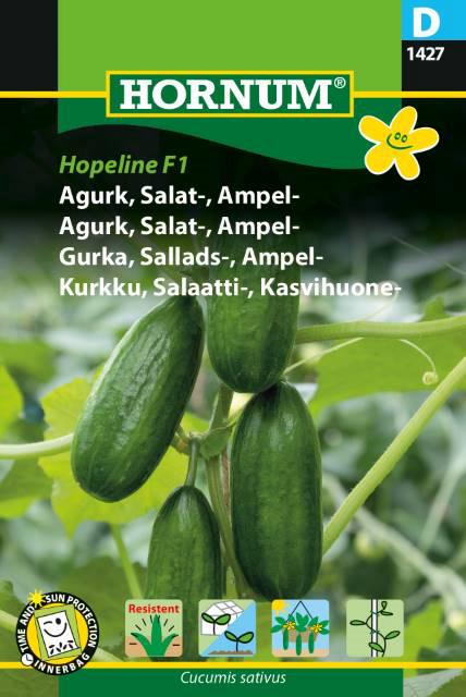 Agurk, Salatagurk, Ampelagurk, Hopeline