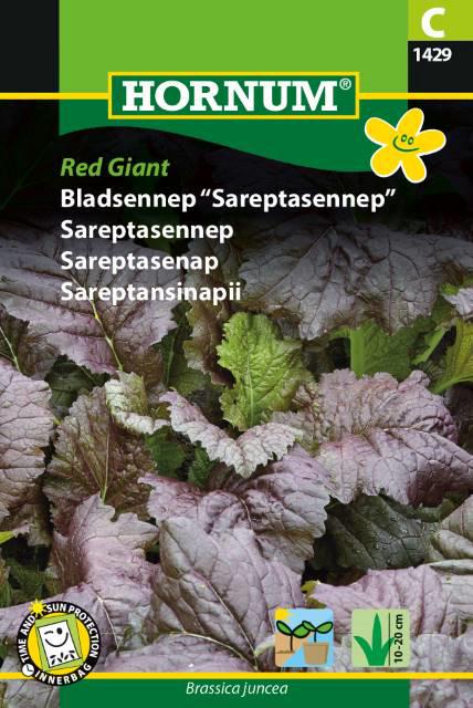 Bladsennep, Red Giant