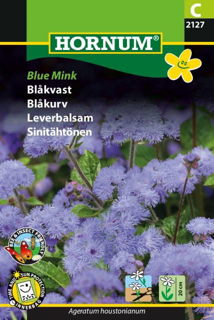 Blåkvast, Blue Mink