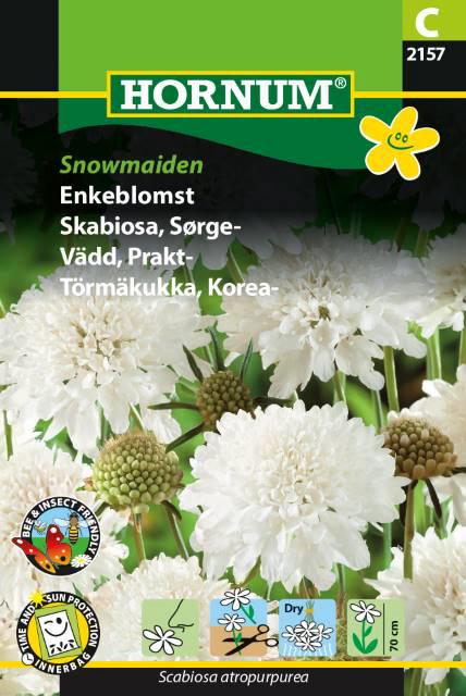 Enkeblomst, Snowmaiden
