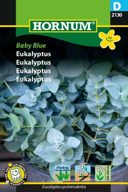Eukalyptus, Baby Blue