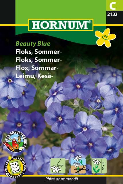 Floks, Sommerfloks, Beauty Blue