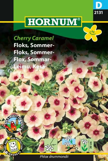 Floks, Sommerfloks, Cherry Caramel