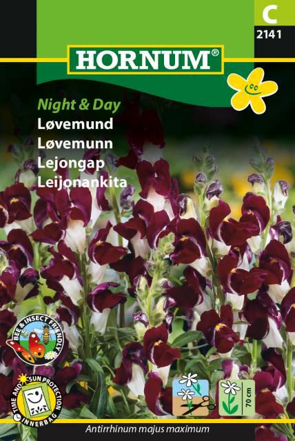 Løvemund, Night & Day