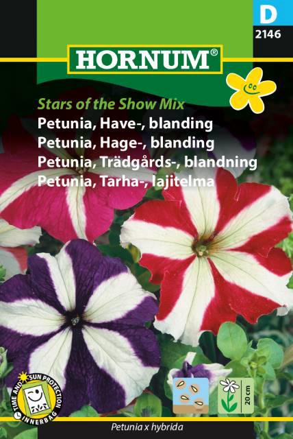 Petunia, Havepetunia, blanding, Stars of