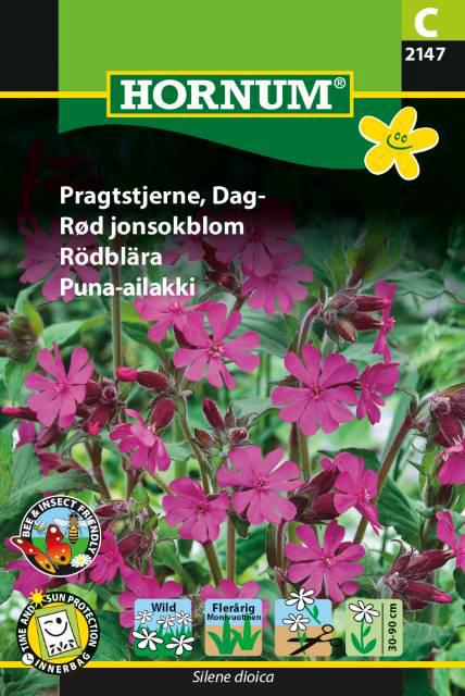 Pragtstjerne, Dagpragtsnerle