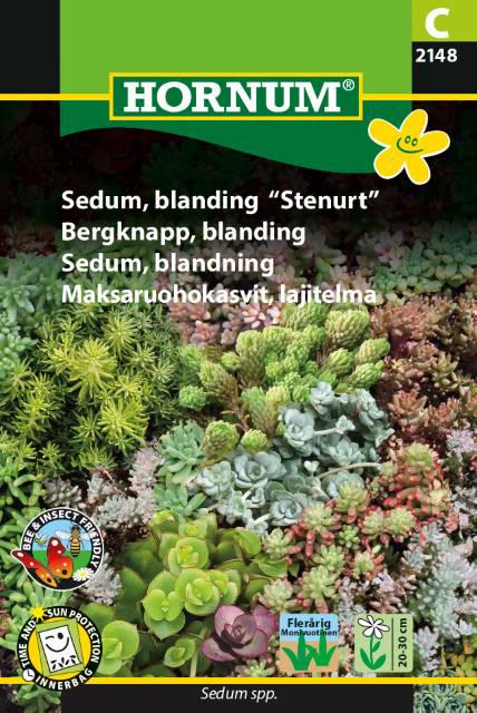 Sedum, blanding Stenurt