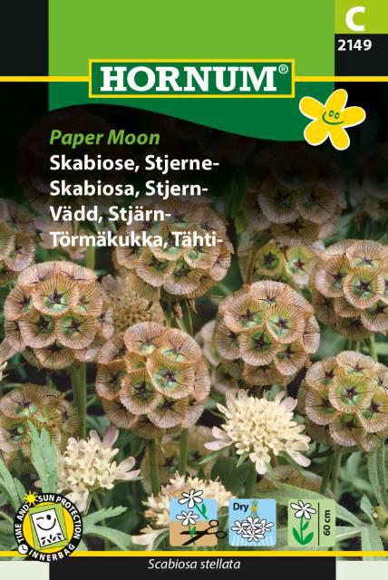 Skabiose, Stjerne-, Paper Moon