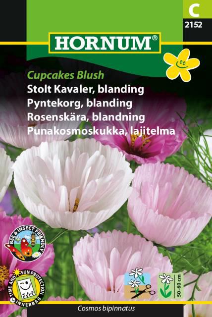 Stolt Kavaler, Cupcakes Blush