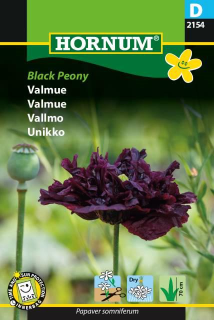 Valmue, Black Peony