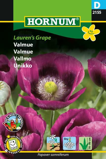 Valmue, Lauren's Grape