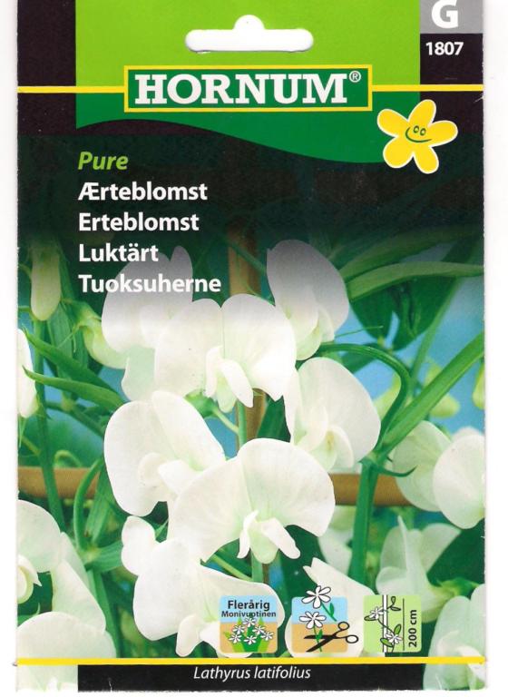 Ærteblomst, Pure