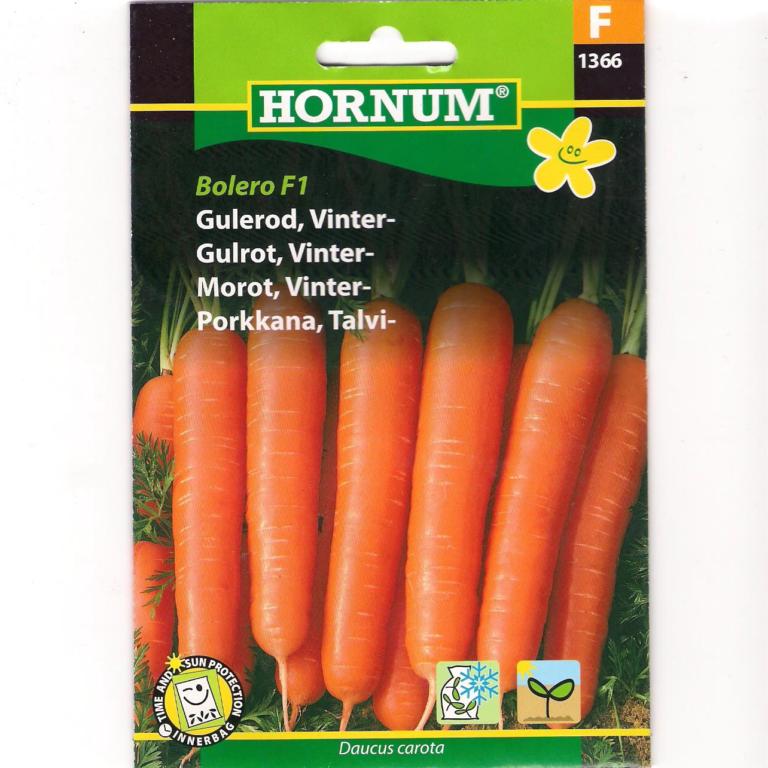 Gulerod, Vintergulerod, Bolero F1