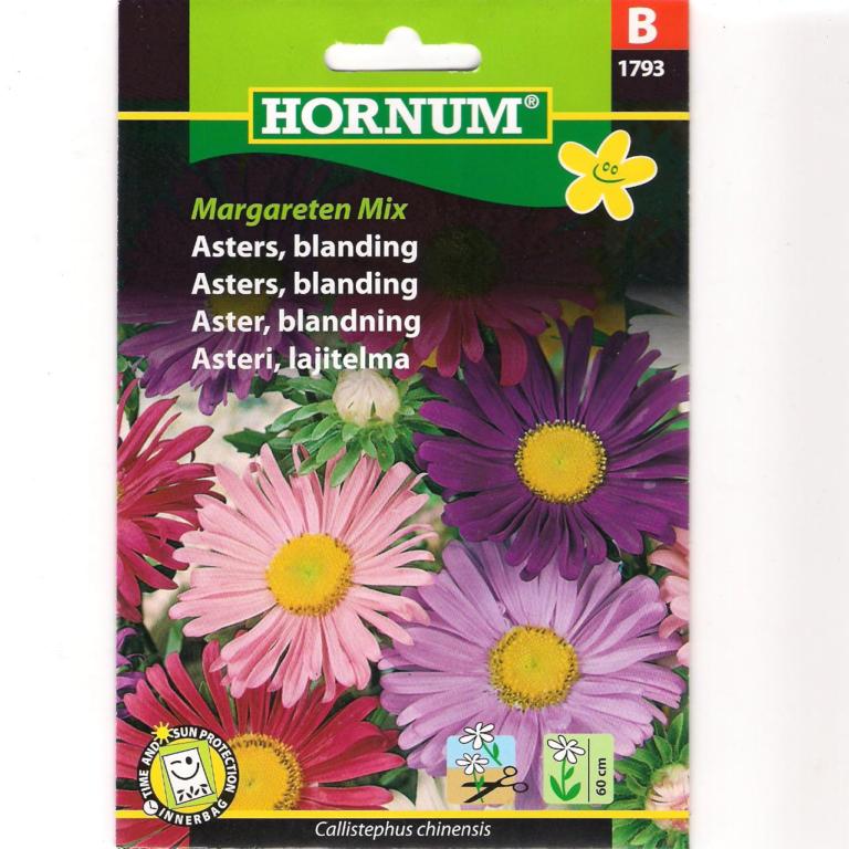 Asters, blanding, Margareten Mix