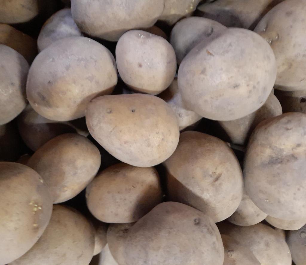 Solist – Øko 1,5 kg