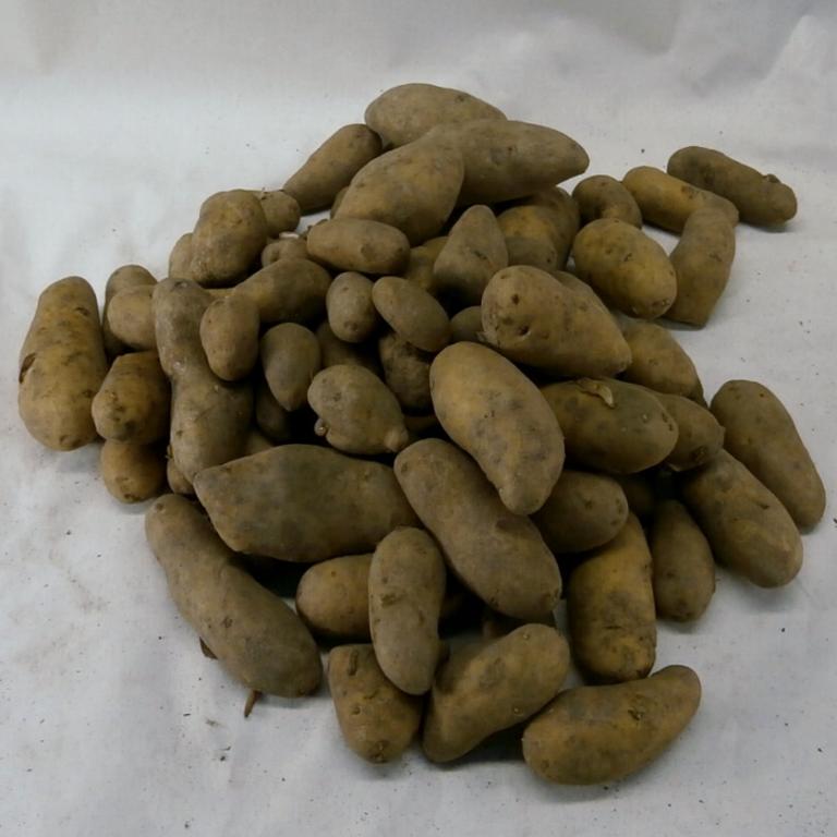 Linzer Delikatesse 1,5 kg