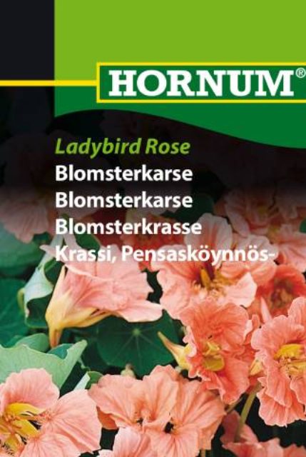 Blomsterkarse, Ladybird Rose