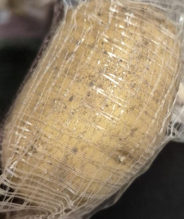 Pondus 1,5 kg