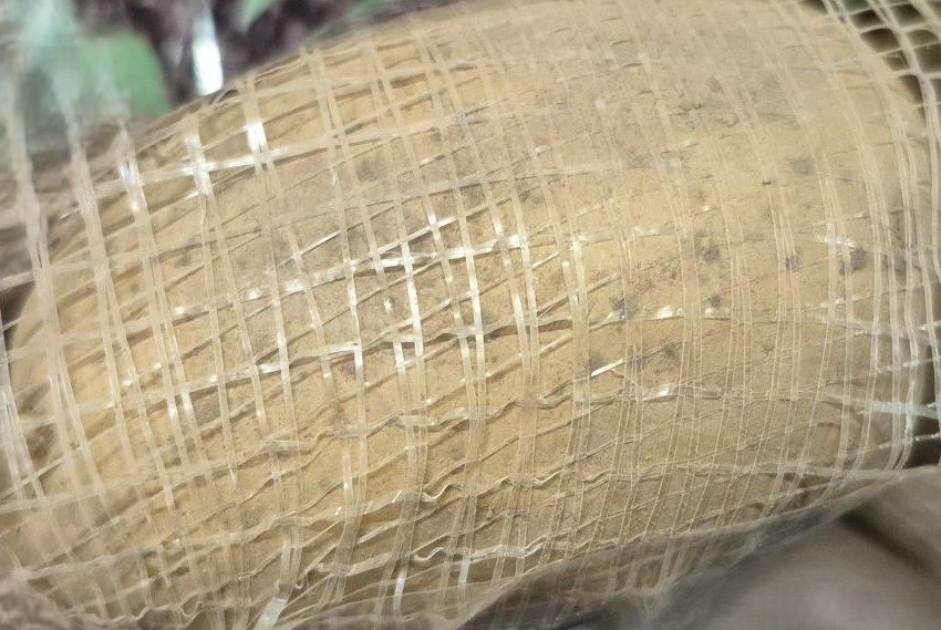 Gwenne 10 kg.