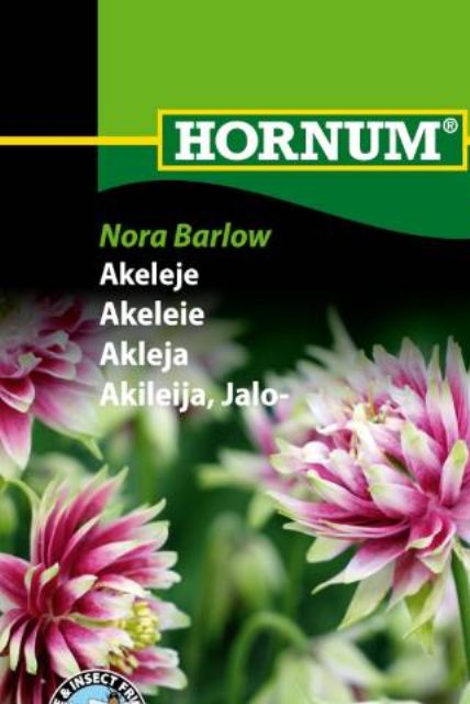 Akeleje Nora Barlow