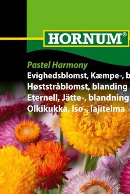 Evighedsblomst, Kæmpe-, blanding Pastel