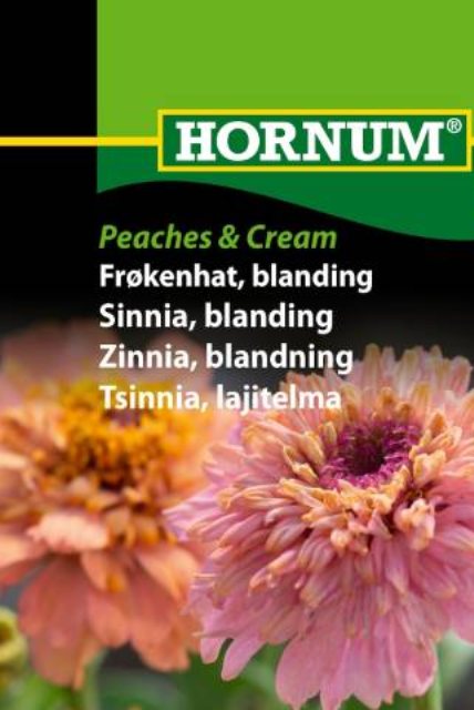 Frøkenhat, blanding Peaches & Cream