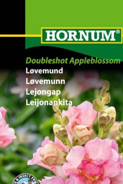 Løvemund Doubleshot Appleblossom