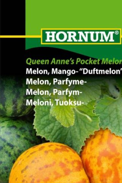 Melon, Mango- Duftmelon Queen Anne's Poc