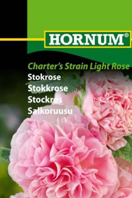 Stokrose Chater's Strain Light Rose