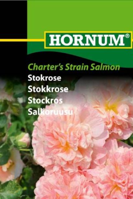 Stokrose Chater's Strain Salmon