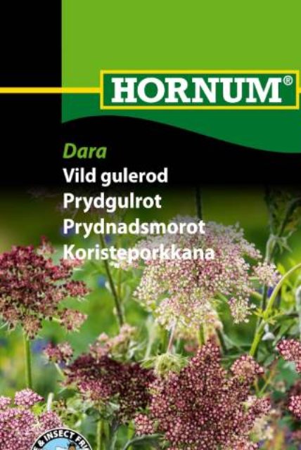 Vild Gulerod Dara