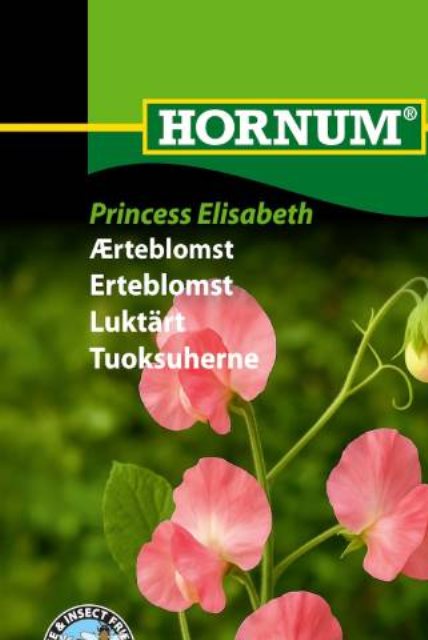 Ærteblomst Princess Elisabeth