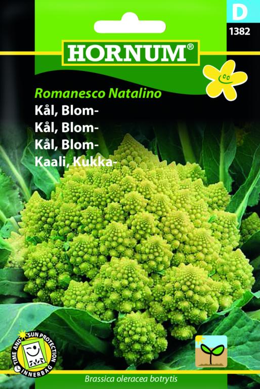 Kål, Blomkål, Romanesco Natalino