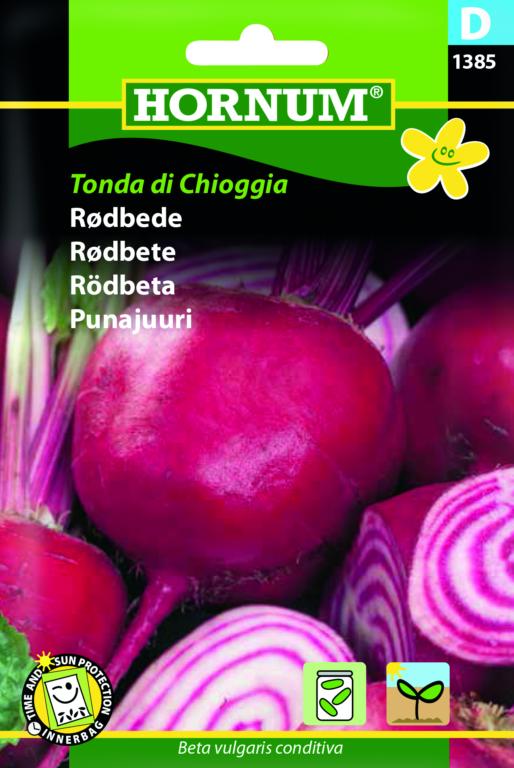 Rødbede, Tonda di Chioggia