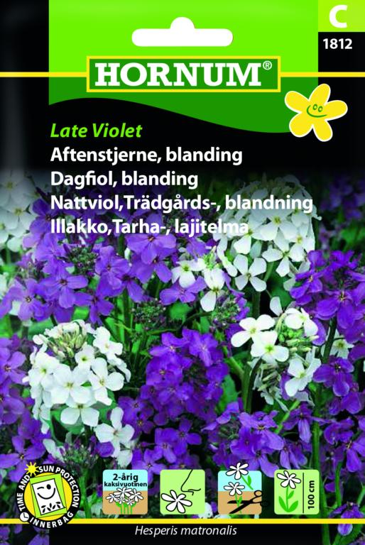 Aftenstjerne, blanding, Late Violet